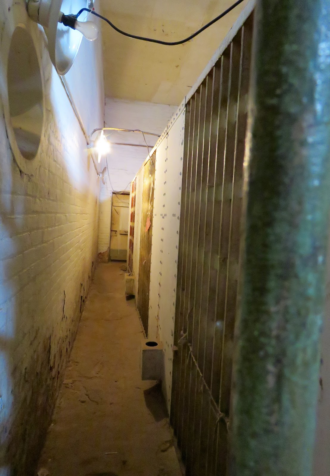 Where's Liz? 2016 Holbrook, AZ, Route 66 and the Shootout of 1887