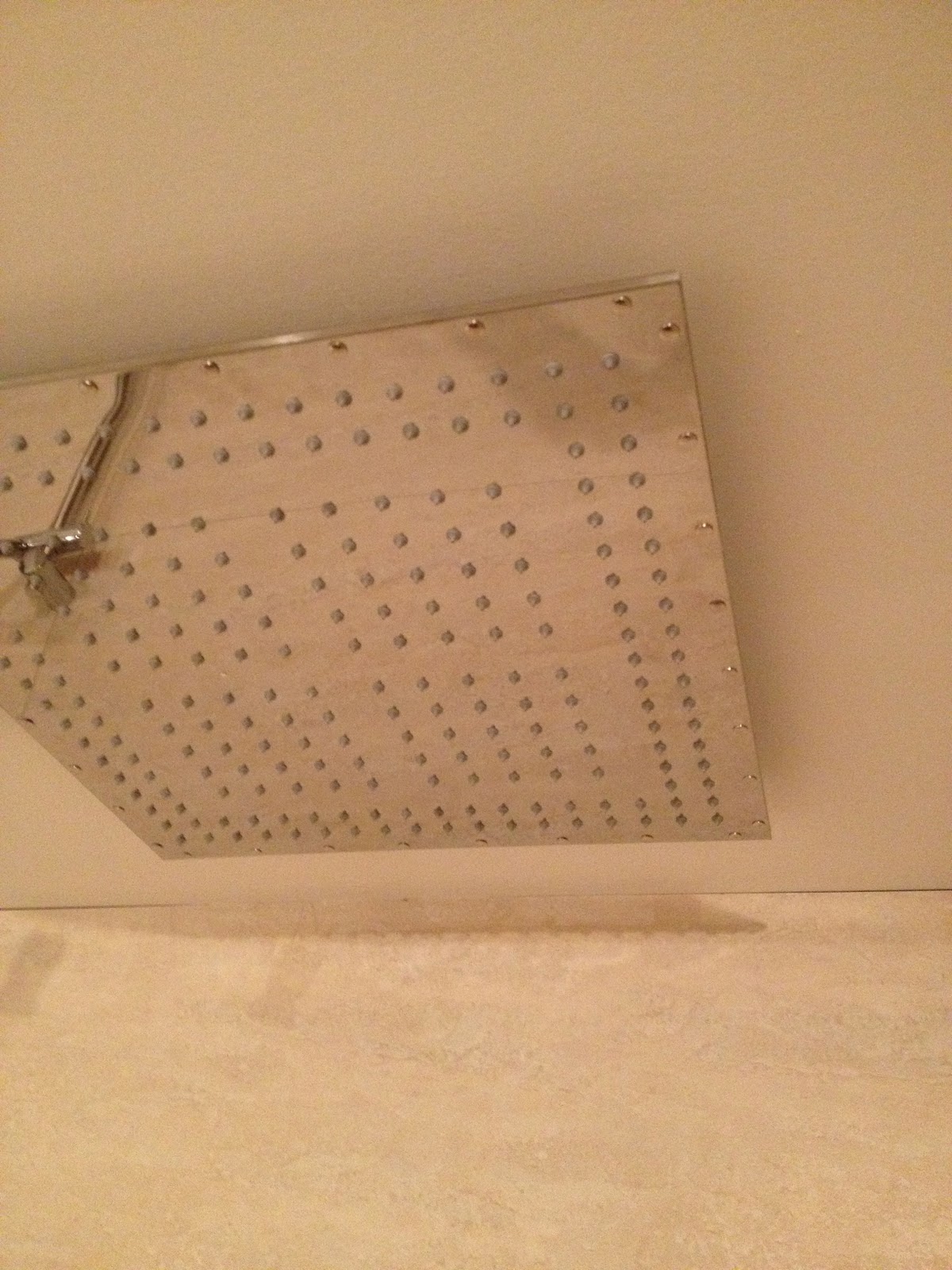 The Reno Coach Passive House Project in Toronto Bathroom Shower