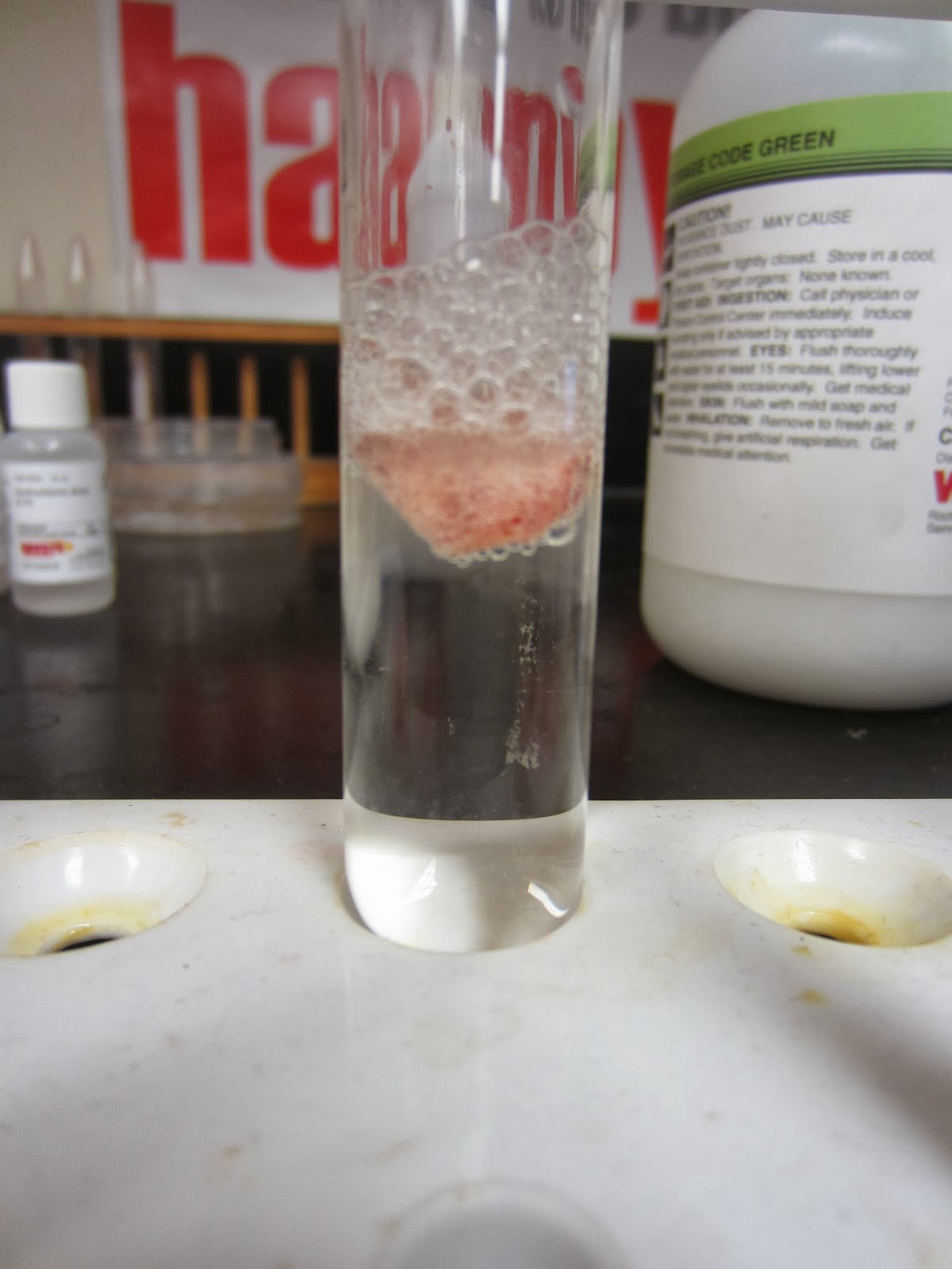 EC Honors Biology: Enzyme Lab