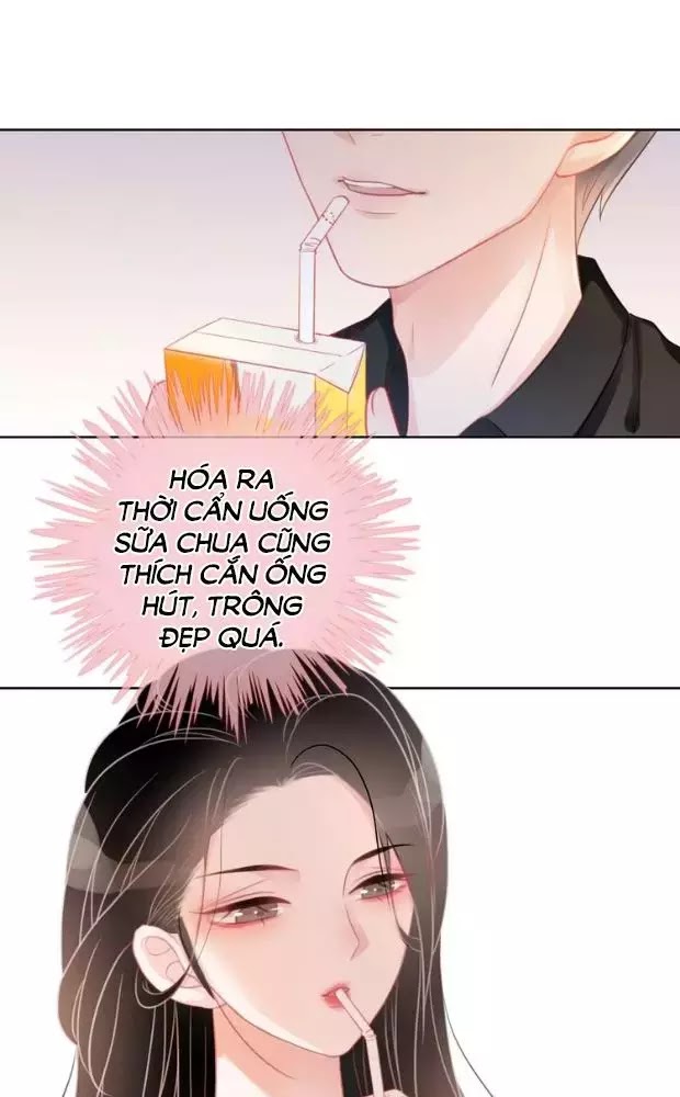 Ám Hắc Hệ Noãn Hôn Chapter 15 - Trang 27