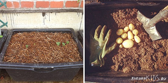 Великолепные идеи для детей на дачном участке.