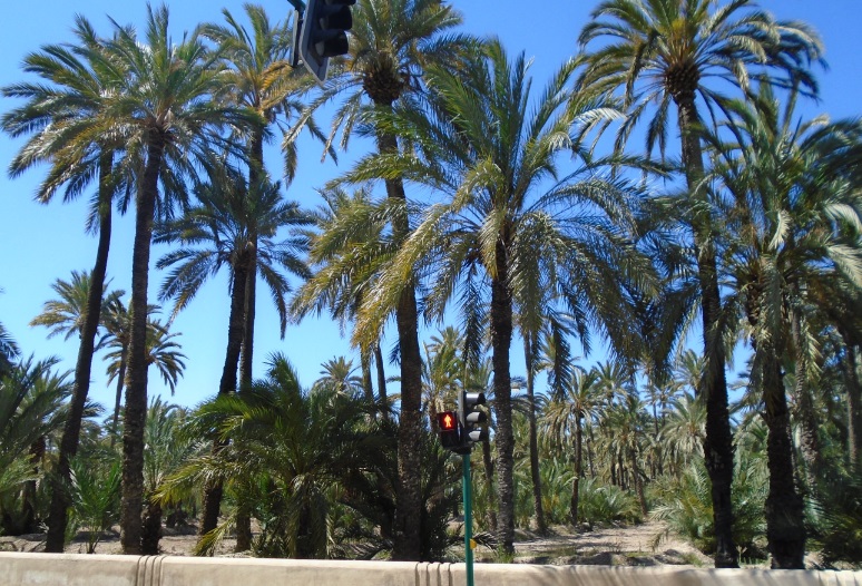 Caminades pel Baix Vinalopó