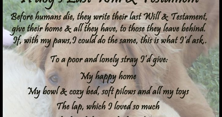 A Dog's Last Will And Testament Poem Park Avenue Chihuahua: A Dog's Last Will and Testament