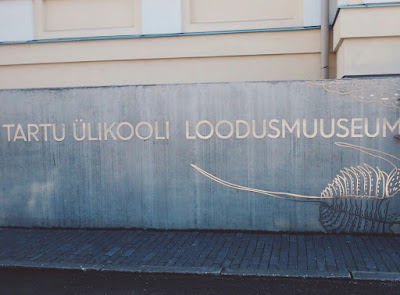 Kujutis
