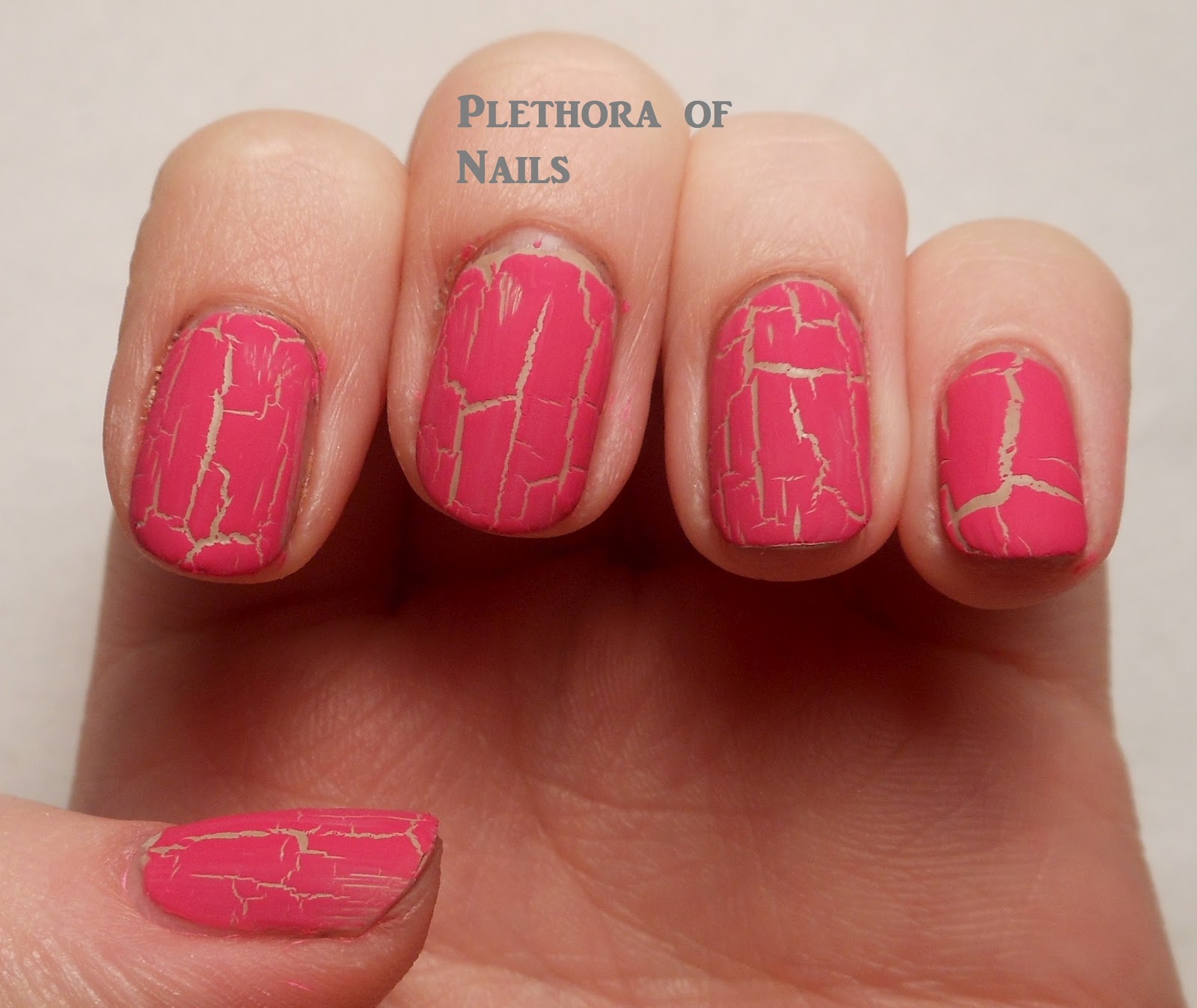 a-plethora-of-nails-round-nails
