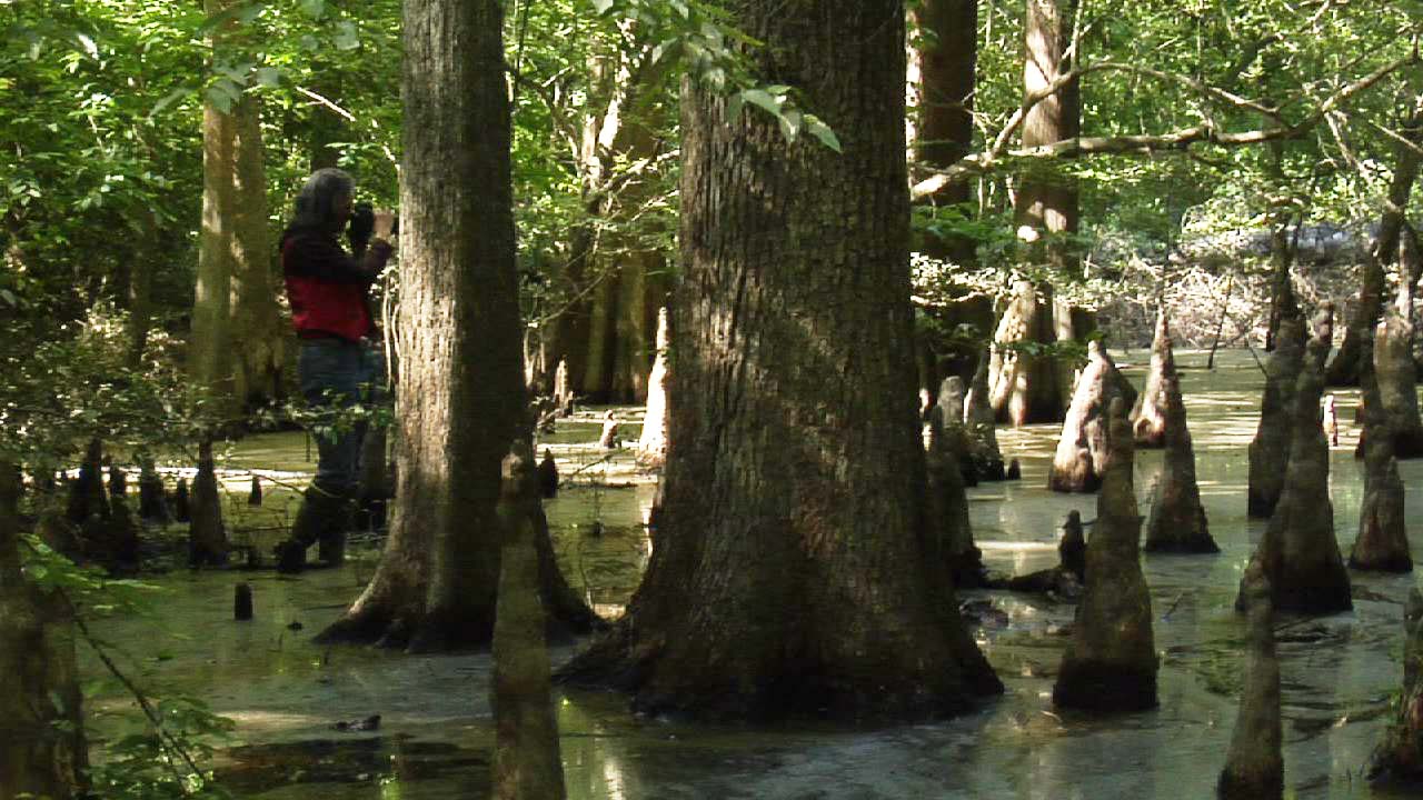 Earth Chronicles Project OETA Oklahoma PBS will be airing our documentary