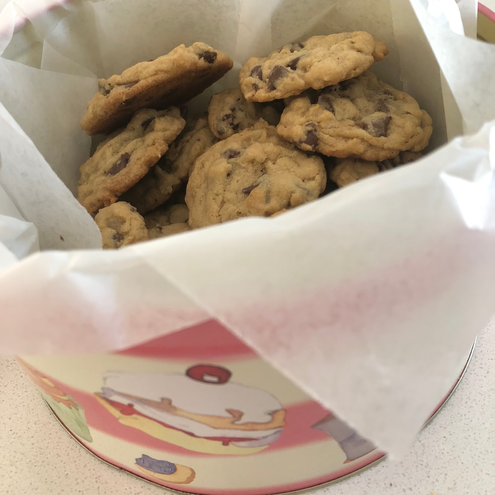 Family Recipes Chocolate Chip Oatmeal Cookies (King Arthur) or bars