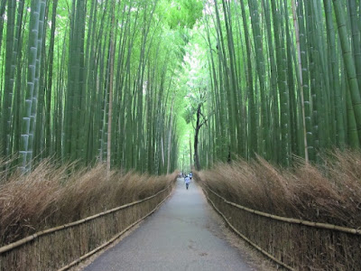 Hutan bambu Sagano