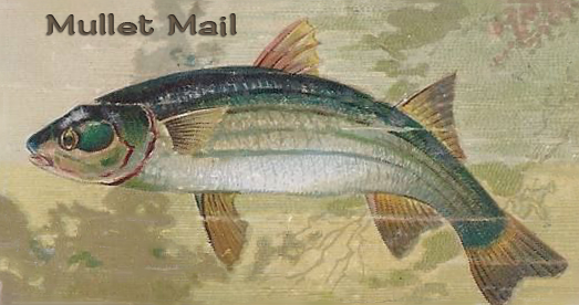 Mullet Mail