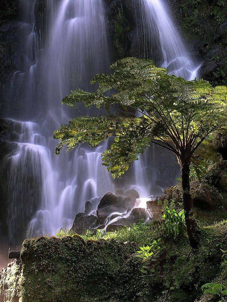 Poço da Alagoinha (Açores) Poço da Alagoinha (Açores)