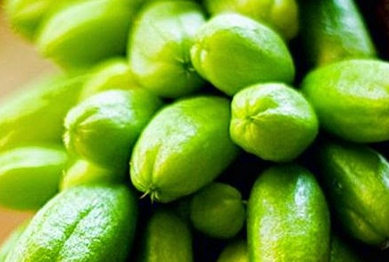 Sakit Gigi Karena Berlubang Atasi Menggunakan Belimbing ...