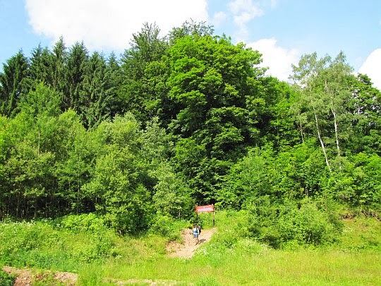 W dolinie Rybnej opuszczamy Park Krajobrazowy Sudetów Wałbrzyskich.