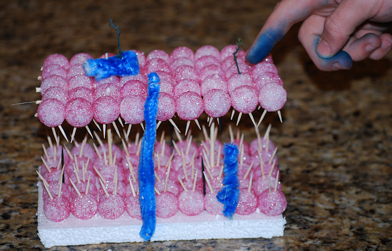 Prairie Pi: Ky's Diary.....Cell Membrane Project
