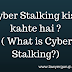 Cyber Stalking kise kahte hai ? ( What is Cyber Stalking?)
