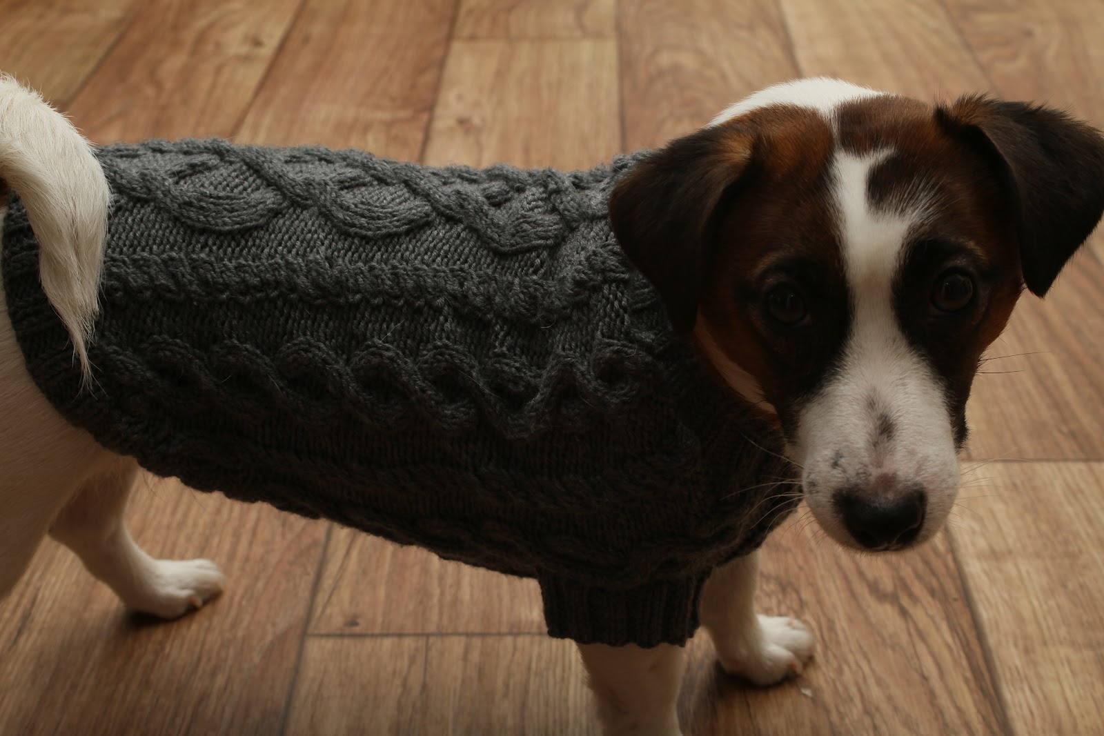 Heklet Genser Til Hund