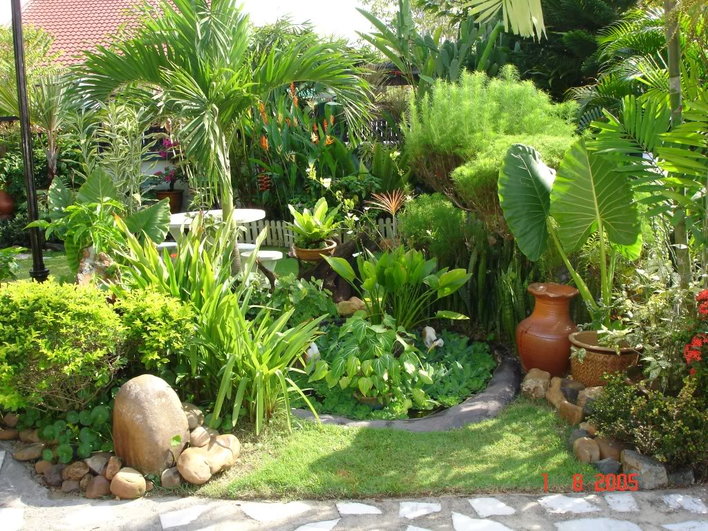 Taman dan Tanaman: Cara Membuat Taman