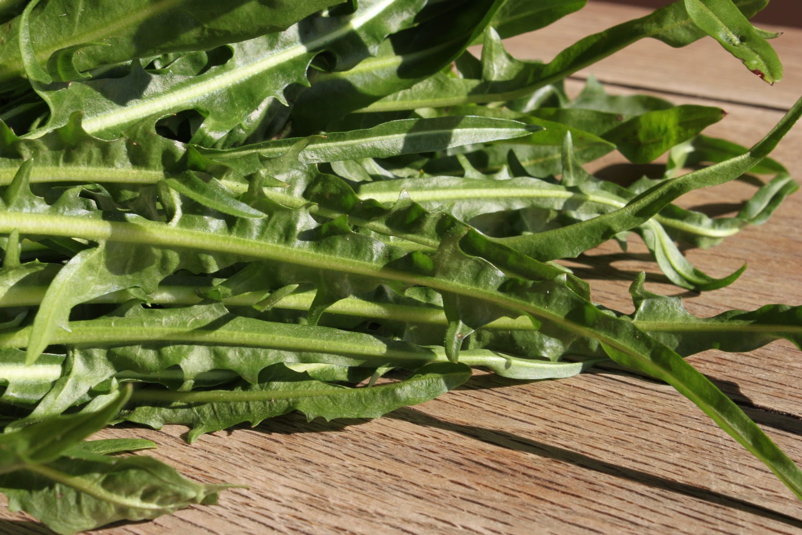 Another take on pasta primavera Spaghetti with dandelion greens and
