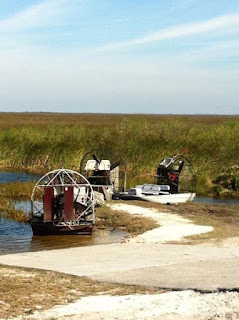 wildlife tours in everglades