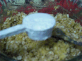 CIMG0093+2.JPG