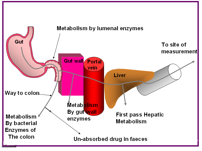 LIST OF FACTORS AFFECTING DRUG ABSORPTION