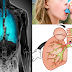Try The Power Of This Top 7 Fruit Juice To Cure Asthma Naturally And Effectively!
