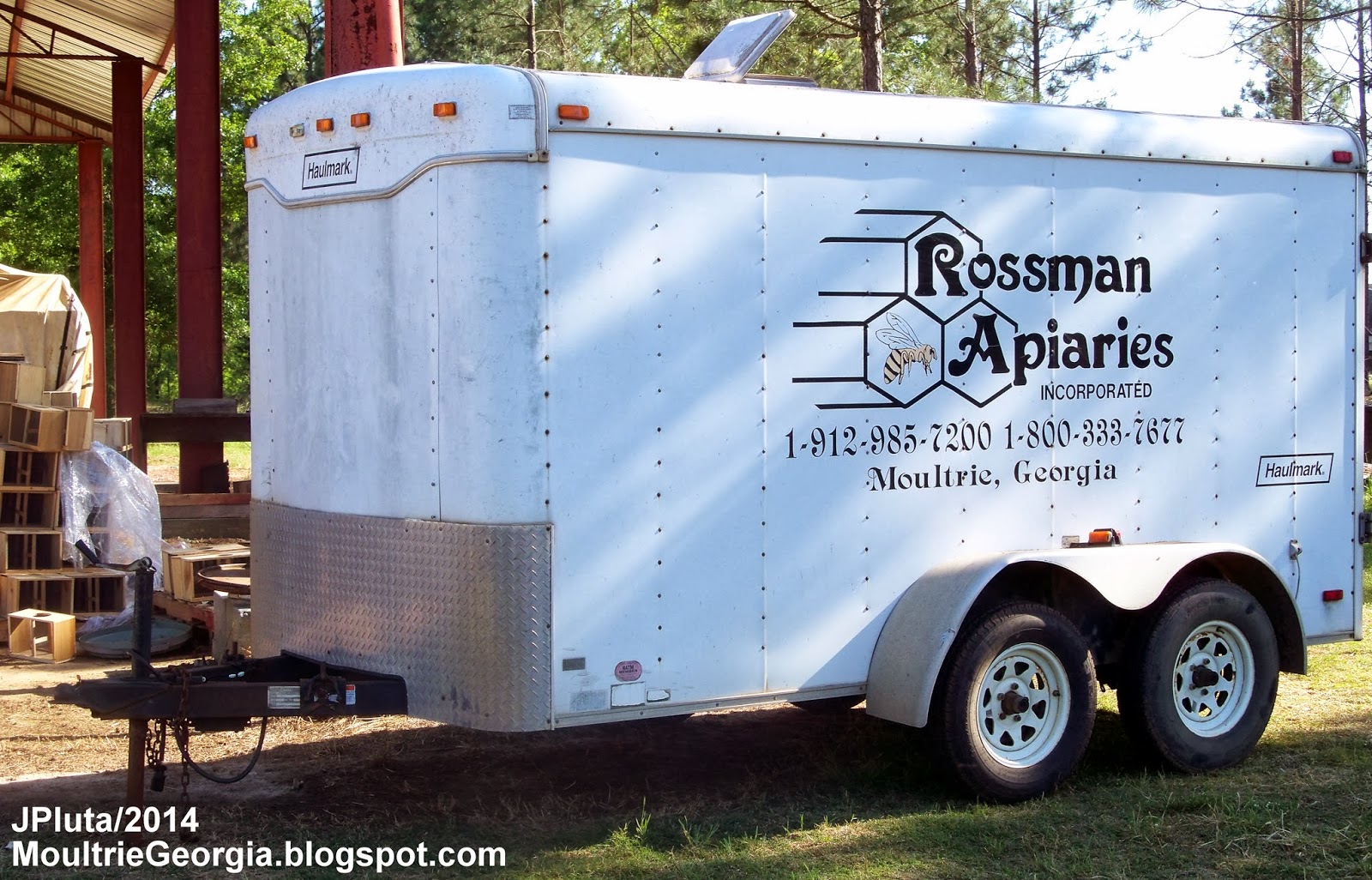 BEEKEEPING Beekeeper Honey Bees Pollen Wax Candle Propolis Queen Nuc