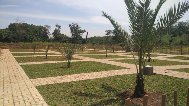KAMPUNG KURMA DI 6 LOKASI KAMPUNG KURMA DI 6 LOKASI