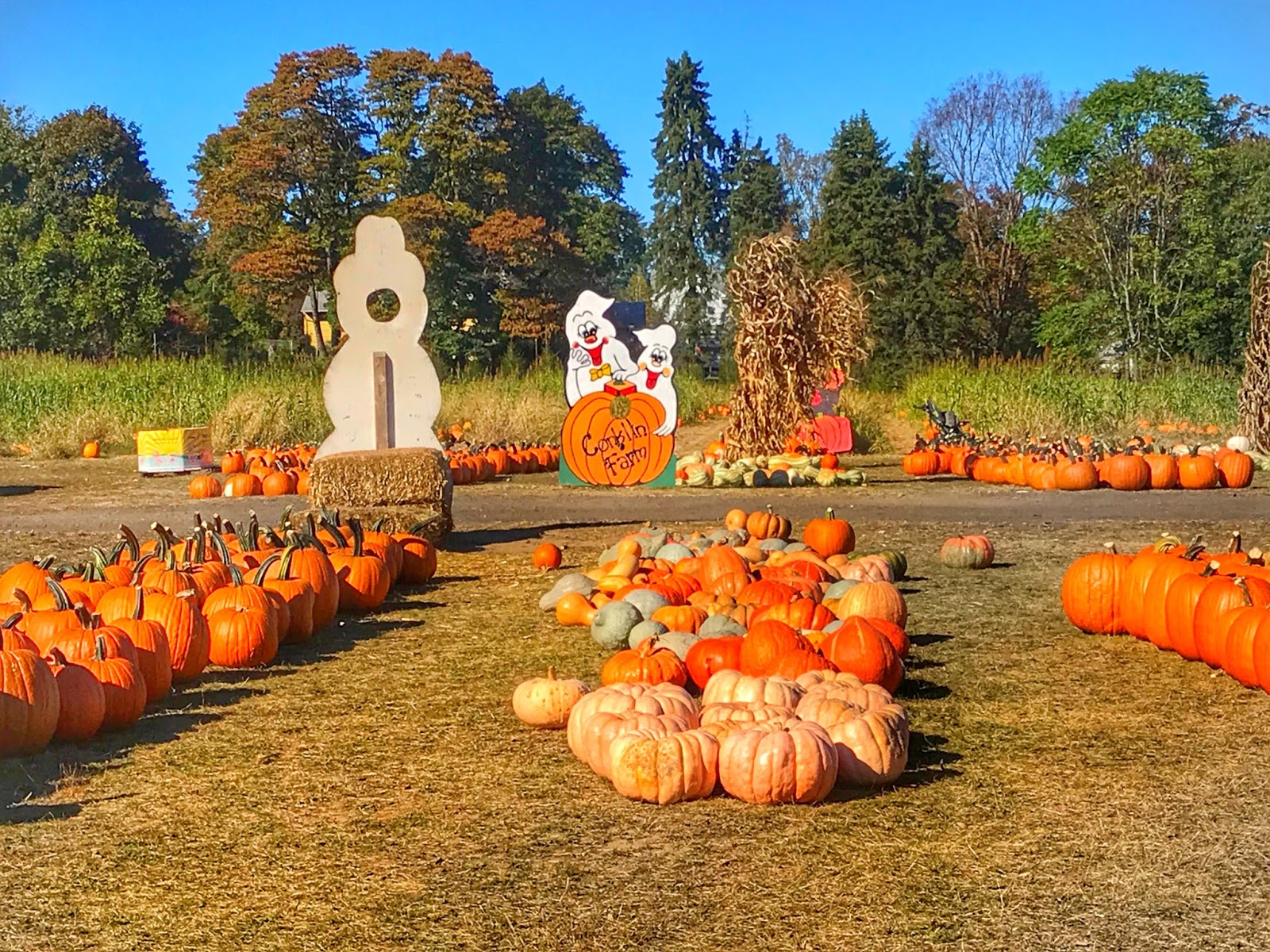Conklin Farms // New Jersey Wanderlust Beauty Dreams