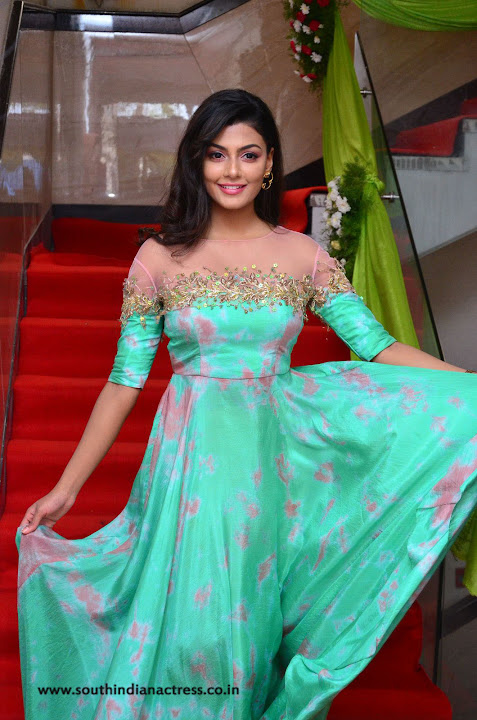 Anisha Ambrose