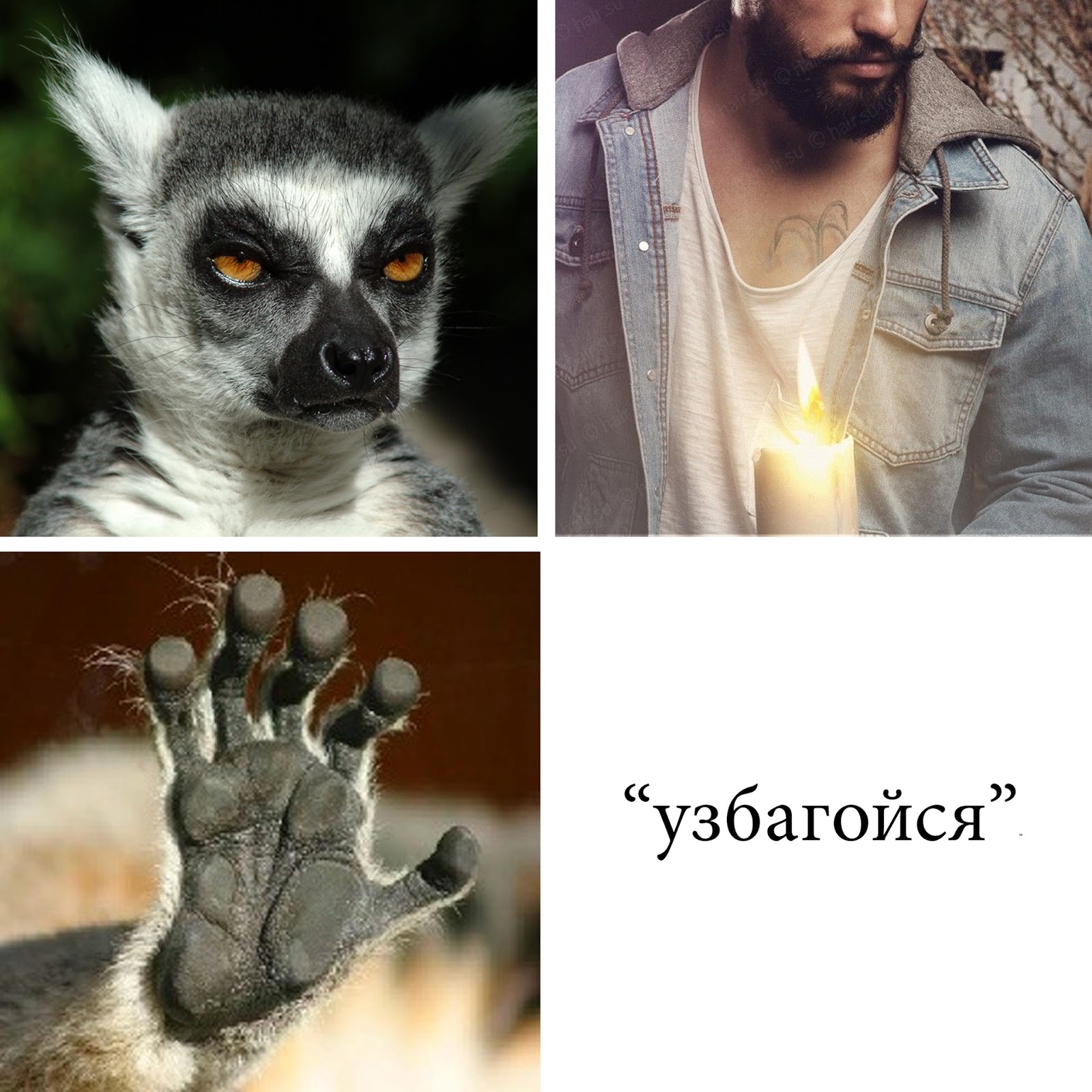 Узбагойся картинки с лемуром с надписями