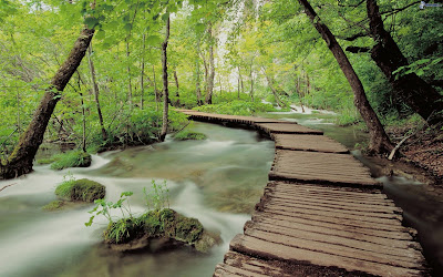 Reflexión de hoy: Puentes