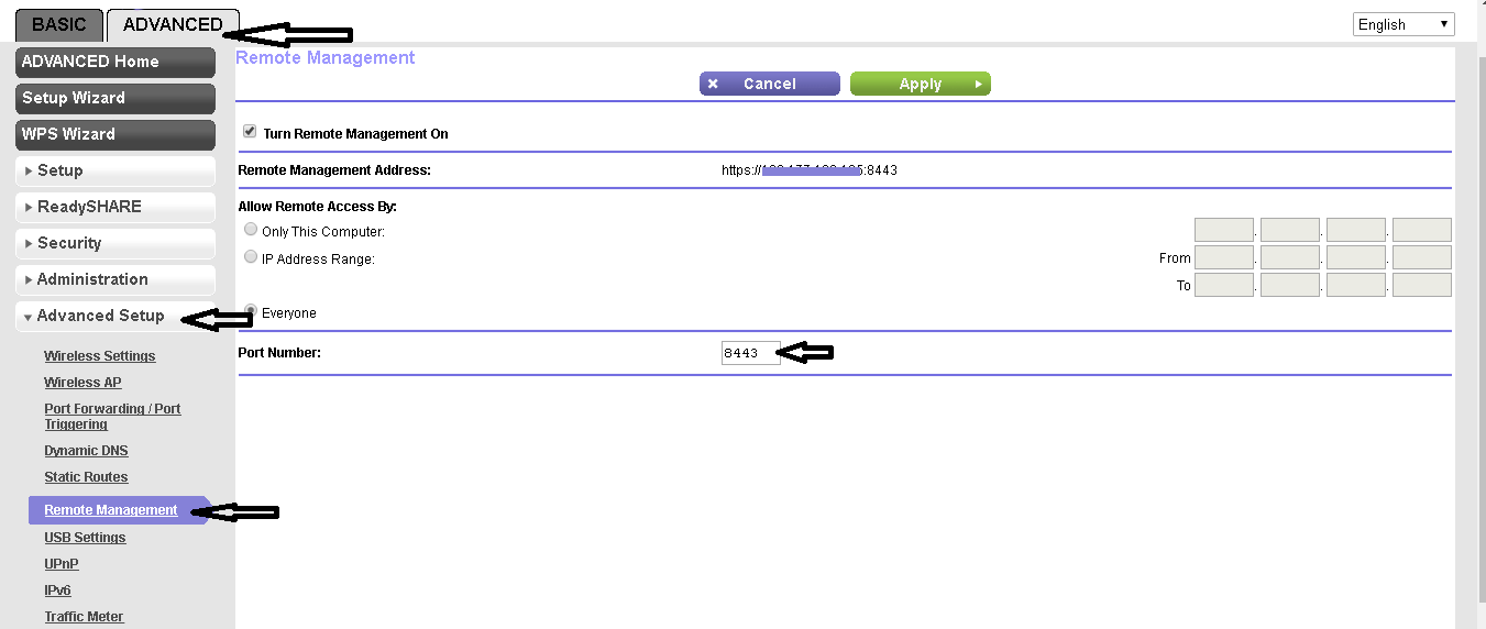 Remote access router from external network | Online Networks Solution
