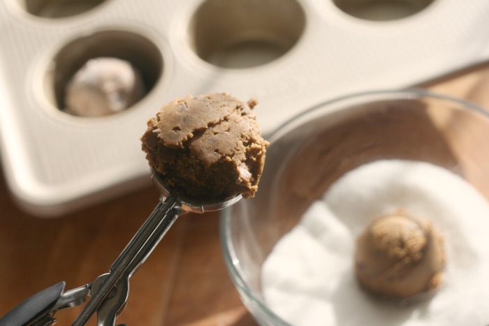 OXO Good Grips Medium Cookie / Ice Cream Scoop -Stainless Steel -Dishwasher  Safe