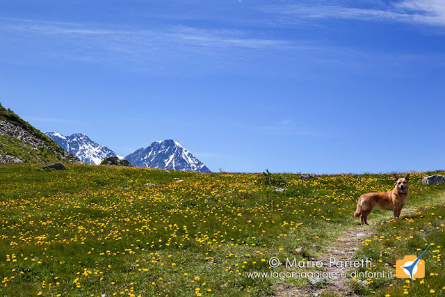 Verso il passo del Monscera Verso il passo del Monscera