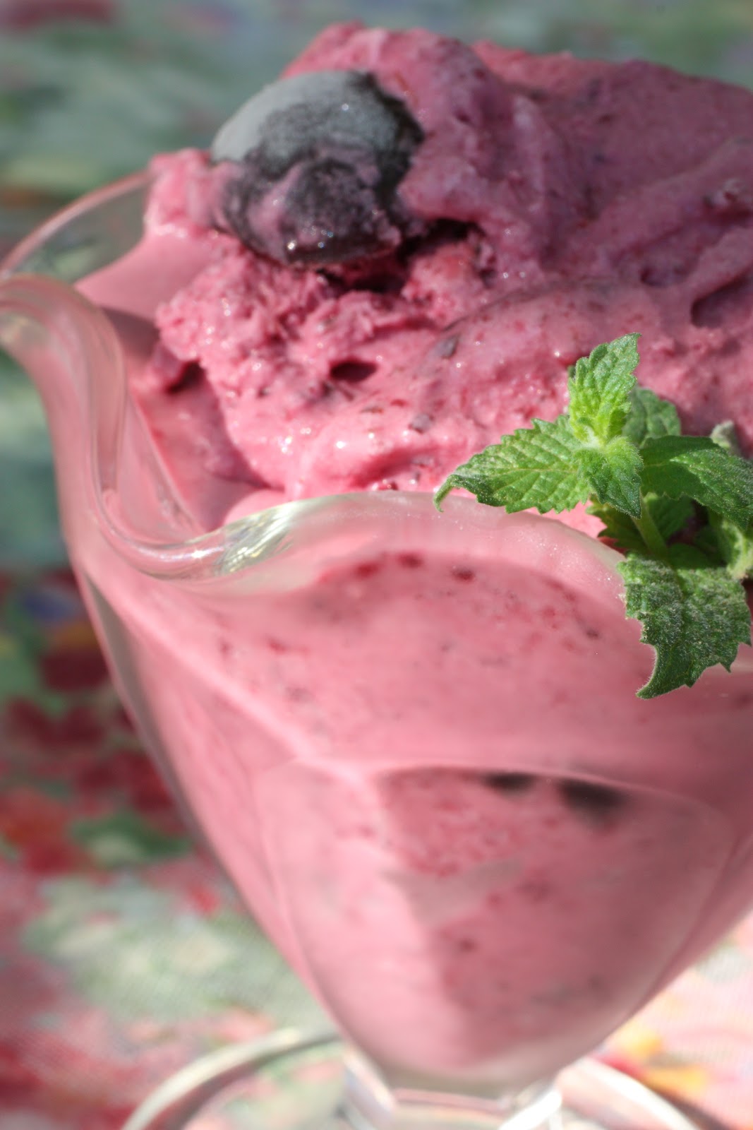 Chef Chuck's Cucina Chef Chuck's Cherry Ice Cream