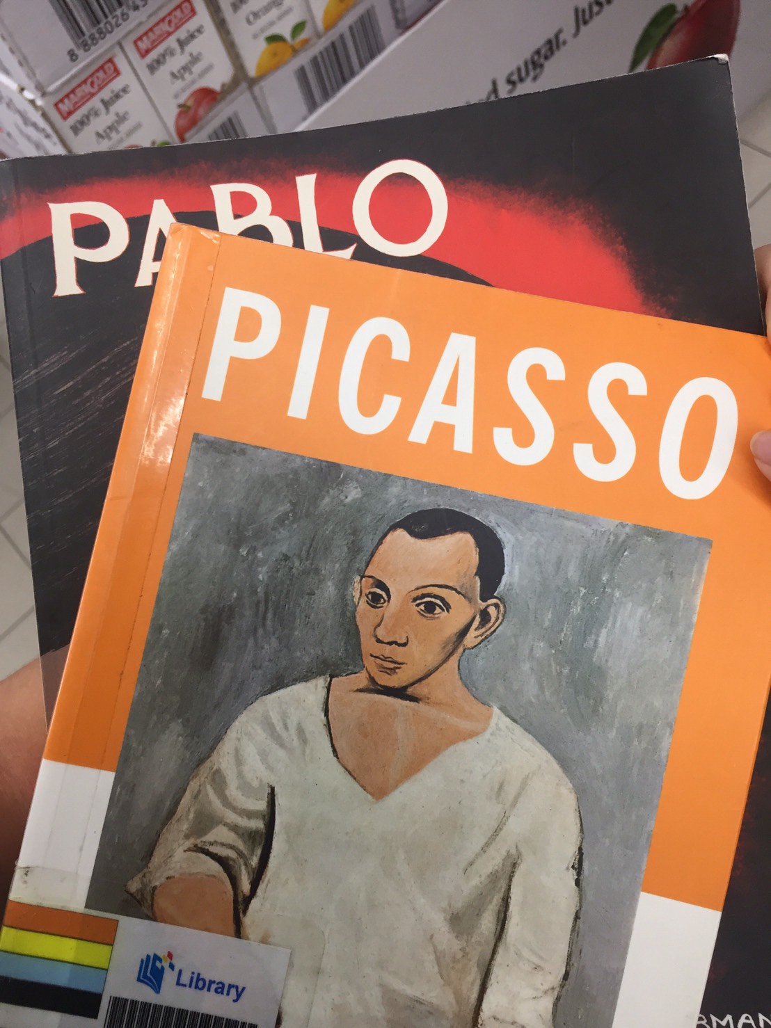 FELINA, F163D0688, VA1J Pablo Picasso