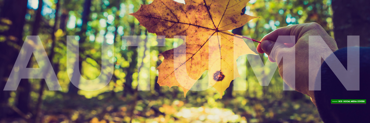 SCG Social Media COVERS TWITTER Covers Autumnthemed
