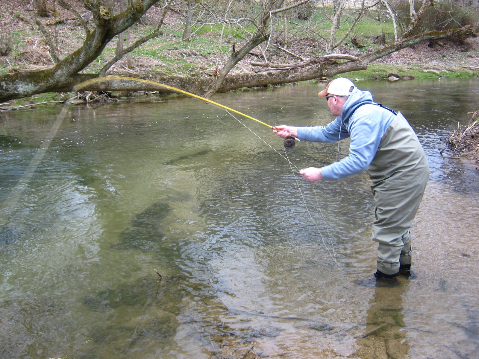 Fly Fishing & Tying Obsessed Beaver Creek Fishing Report