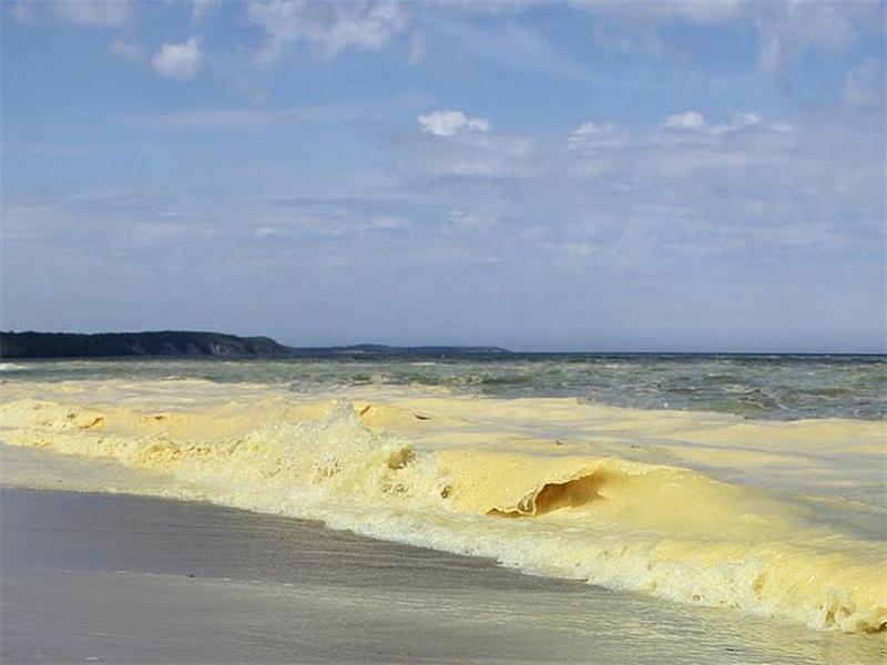 Желтое море китай. Желтое море китай. Желтое море китай. Желтое море фото. Темно желтые отдых на воде.