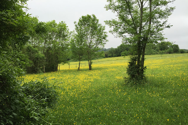 Path to Nash. Down from Westerham Road. 2 June 2016. Path to Nash. Down from Westerham Road. 2 June 2016.