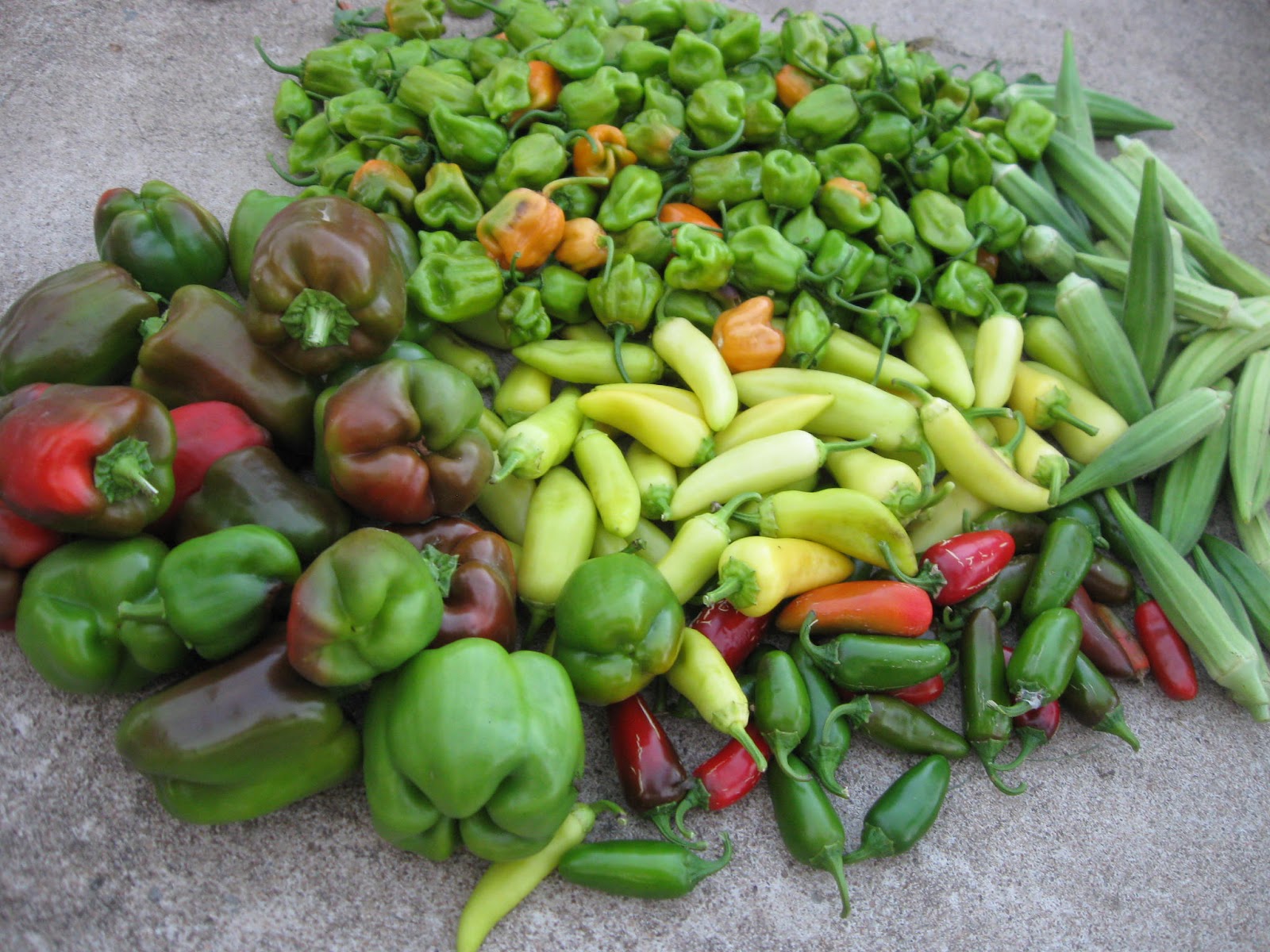 Are Banana Peppers Spicy? Unraveling the Scoville Scale and Beyond