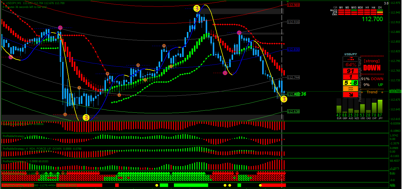 Traders profesionales forex