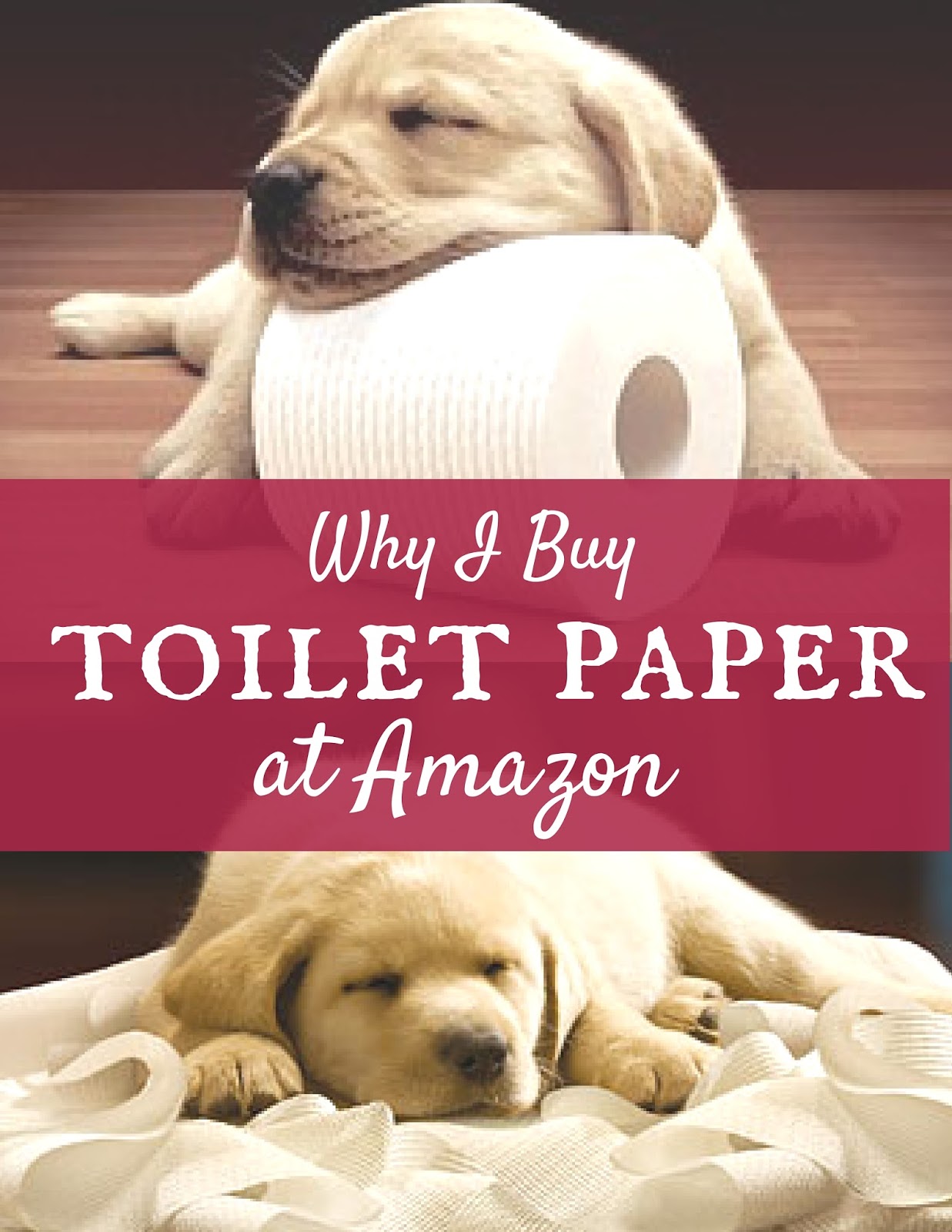 The Prudent Pantry Why I Buy Toilet Paper at Amazon