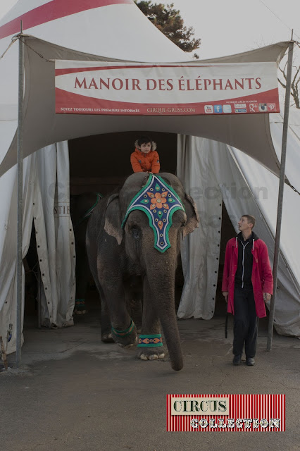 éléphant sortant de l'écurie