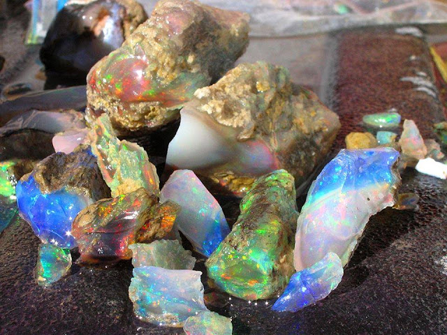 Dig Your Own Unique Opals From Nevada