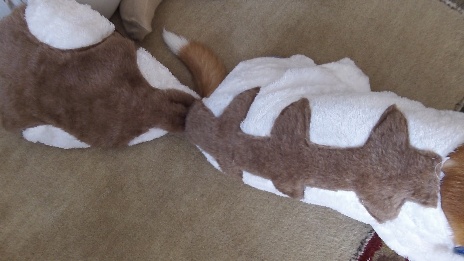 My Dog Is Fun Sized Appa costume done