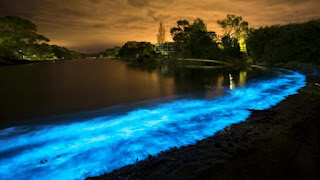 En Tasmanie, ces vagues bleues et bioluminescentes sont aussi belles qu’inquiétantes JonathanEsling-758x426