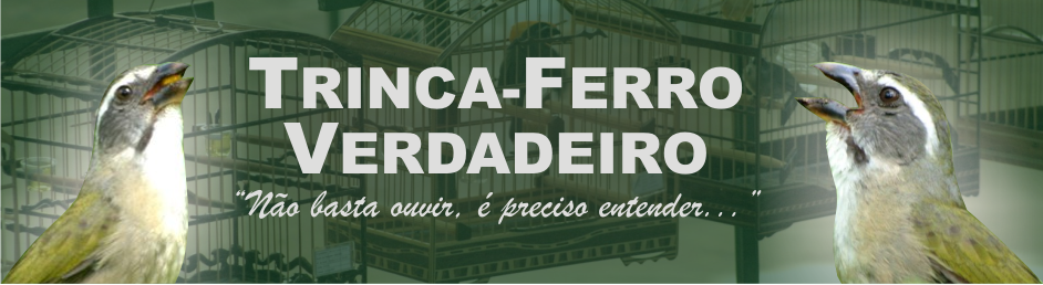 Blog Trinca-Ferro verdadeiro