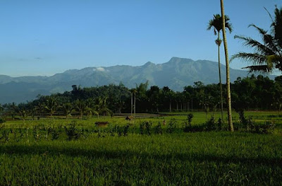Gunung Argopura Gunung Argopura