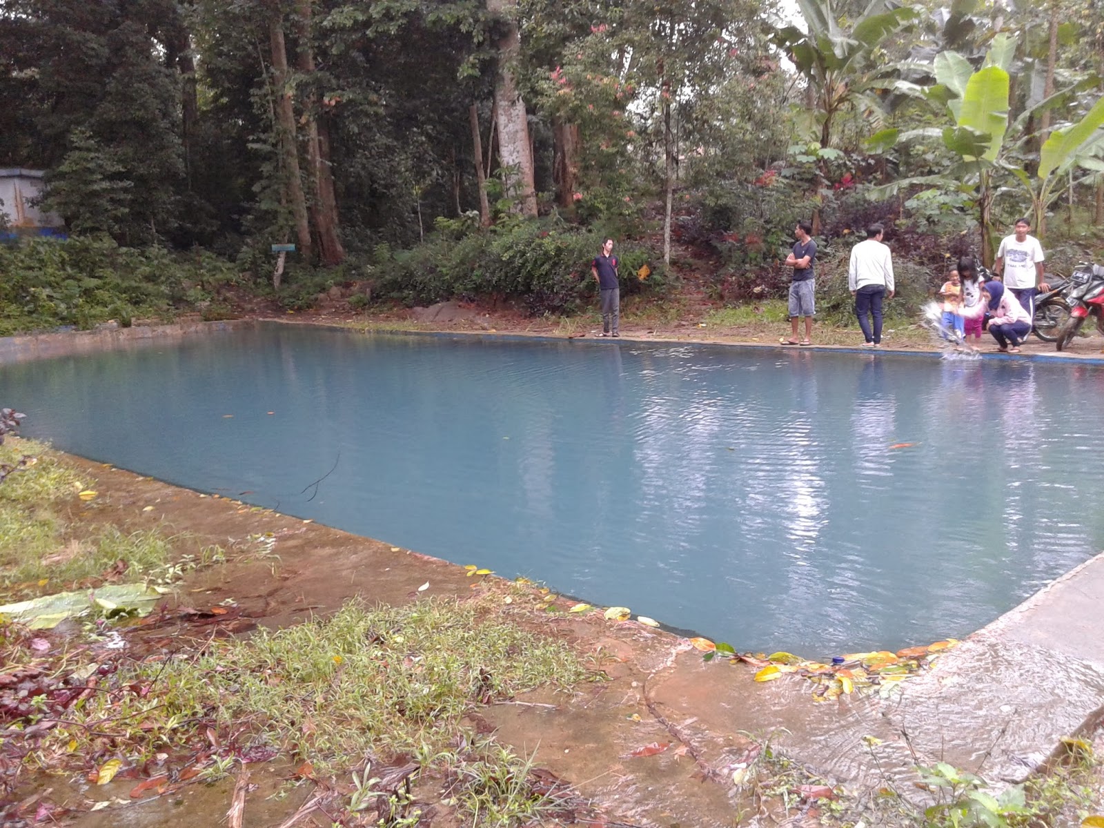 Kolam Pemandian ~ Desa Sungai Langka